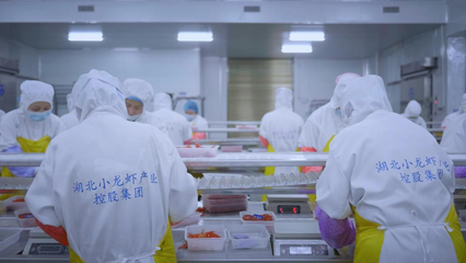 全國首個小龍蝦加工基地揭牌 全鏈賦能‘蝦’經濟，助力鄉村振興與技術推廣